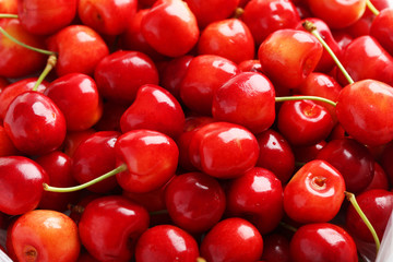 Sweet ripe cherry background