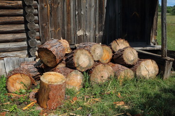 A bunch of the pine chumps for firewood stacked at the old barn