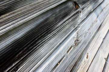 Very old mossy and weathered pine boards of an abandoned rural barn