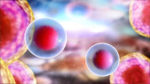      Animated human micro cell , medical, science, biology background 