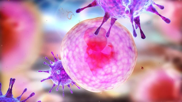 Mitosis.Cellular division under the microscope, stem cells dividing. Human cell, embryo.