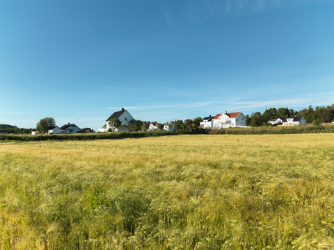 Fields in Frosta, Norway