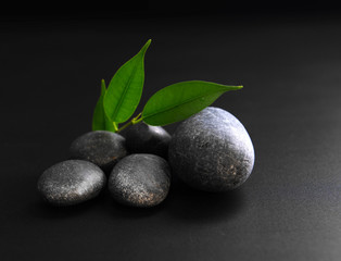 Pebbles with leaf on black background