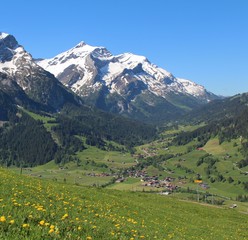 Fototapeta na wymiar Spring time in the Swiss Alps
