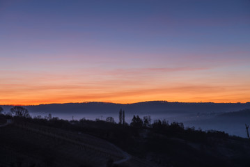 Blaue Stunde im Weinberg
