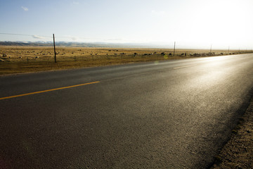 Road going through field in Qinghai province, China