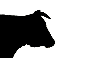 silhouette di una mucca isolato su sfondo bianco.