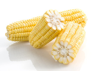 Corn cobs