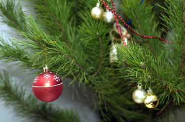 New year tree with round Christmas balls on branches closeup