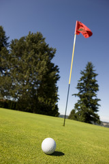Obraz premium Golf ball on the green