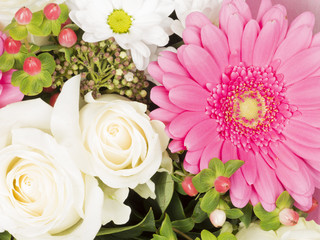 Beautiful garden flowers