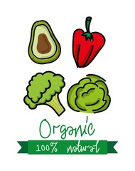 health and organic food design 
