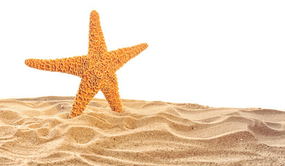 Fototapeta na wymiar Sea star on sand isolated on white