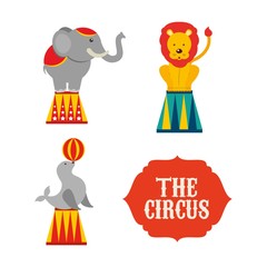 circus entertainment design 