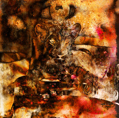 Lion cub photos and painting Abstract Collage. Eye contact