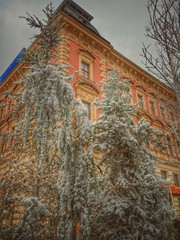 Fototapety na wymiar - Fototapeta24.pl