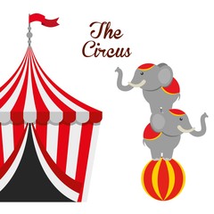 circus entertainment design 
