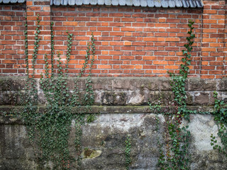 Feuchte Mauer am Kanal