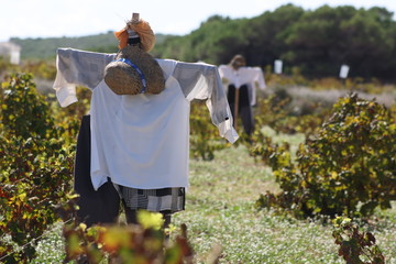 Vogelscheuchen am warten