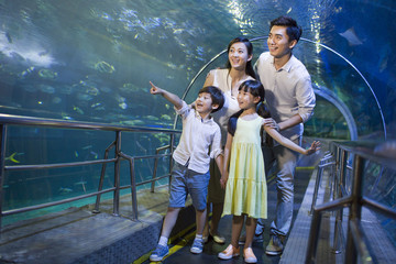 Young family in aquarium
