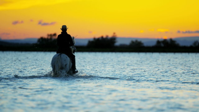 Cowboy Camargue animal horse sunset sea marshland