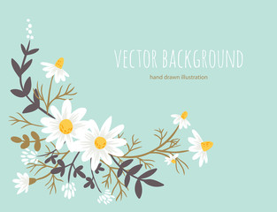 Chamomile. floral background. hand drawn vector illustration