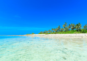 tropical beach in Maldives