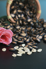 seed melon with rose