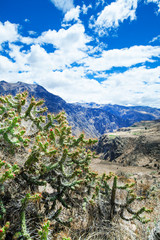 Fototapeta na wymiar landscape Peru