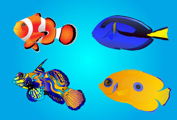 Naklejka premium Set of tropical fishes, vector illustration