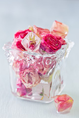 Frozen pink rose flowers cubes in a vase .
