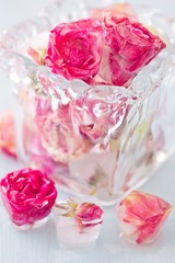 pink flowers of rose in ice cubes on the table .