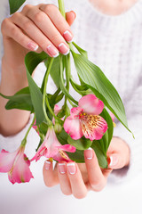Hand with franch manicure holds a delicate flowers.