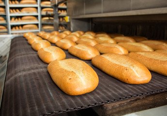 Hot baked breads on a line