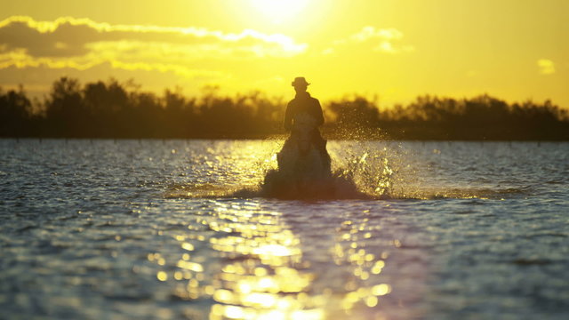 Cowboy Camargue rider animal horse sunset running sea 