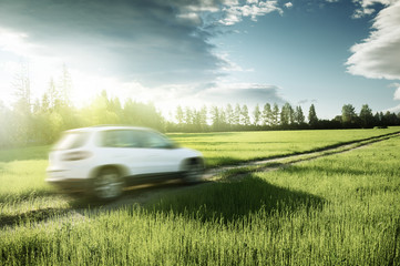 Fototapeta na wymiar spring field and blured car on ground road