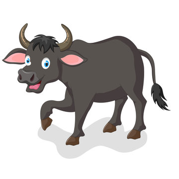 funny buffalo cartoon