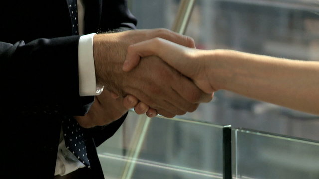 handshake male Western Caucasian female Eastern European business trader banking
