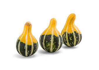 Beautiful small decorative pumpkins isolated on white with clipp