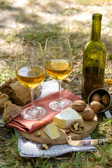 Beautiful composition of white wine, cheese, nuts and bread on the ground in the park