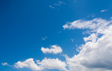 Fototapeta na wymiar white cumulus clouds in the blue sky