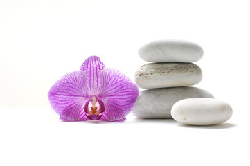 Naklejka na ściany i meble stones with pink orchid