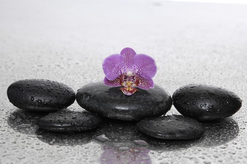 Fototapeta na wymiar wet stones with orchid 