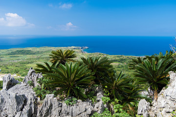 沖縄県　大石林山から見る辺戸岬

