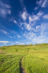 Fototapeta na wymiar field on a background of the sky