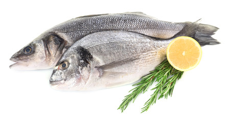 Fresh fish with lemon and rosemary isolated on white background