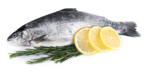 Fresh sea fish with lemon and rosemary isolated on white background