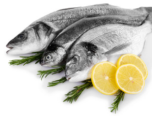 Fresh fish in a row with lemon and rosemary isolated on white background
