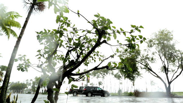 Hurricane force winds coastal Highway region Hilo city Hawaiian Islands