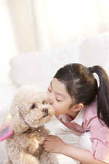 Little girl playing with a pet toy poodle